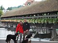 THUN