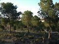 Area de Recreo