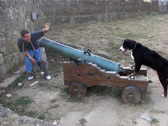 ¡¡¡Tu ganas, te dare Royal Canin!!!