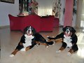 Los Hermanos en su cumple