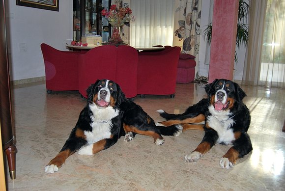 Los Hermanos en su cumple
