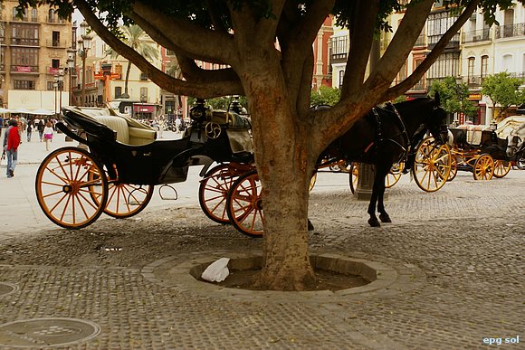 sevilla3
