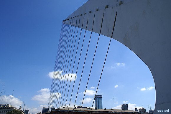 un puente en Madero