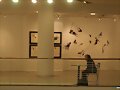 espera