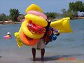 un monstrico de la playa