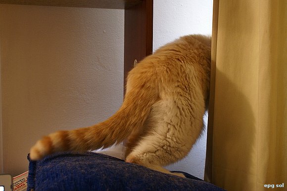 escape