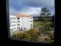 Un perfil desde una ventana