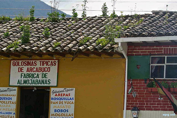 jardines en el tejado