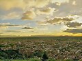 otra panor&aacute;mica, un mar amarillo,