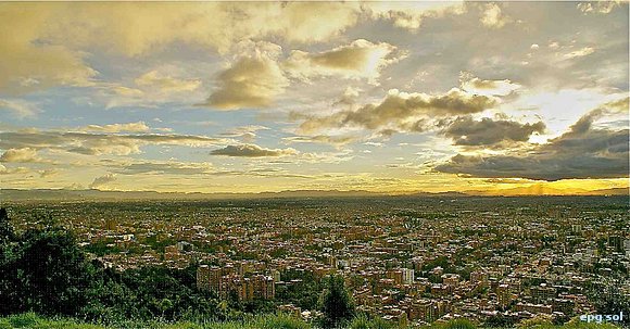 otra panorámica, un mar amarillo,