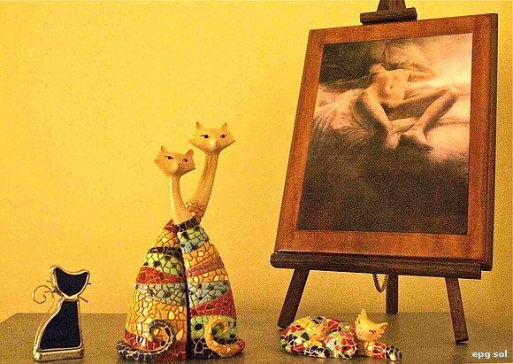gatos y gatas, luces y sombras. Luces