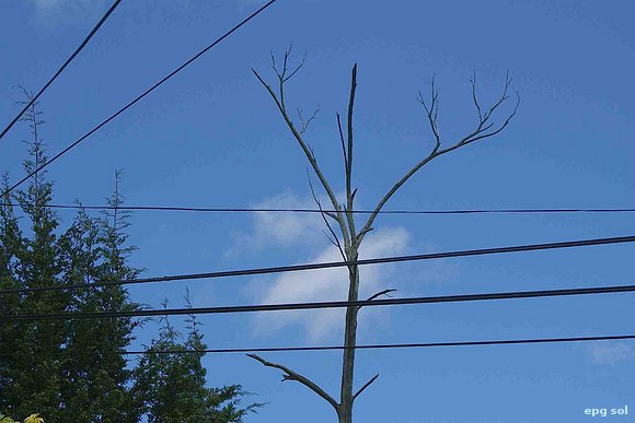 contra las cuerdas...y el cielo