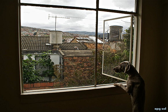Un chismoso en la vecindad tunjana
