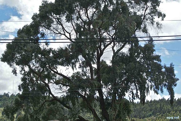 El tiempo, parado frente al cielo, todavía lleno