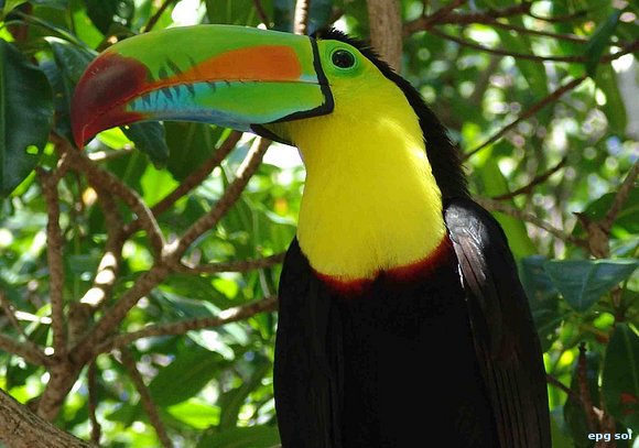 los colores del color...