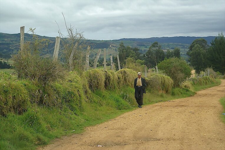 sutil elegancia en el camino...