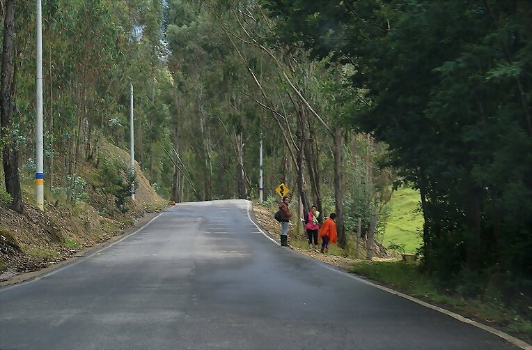 una sutil  luz verde en el camino del sur........