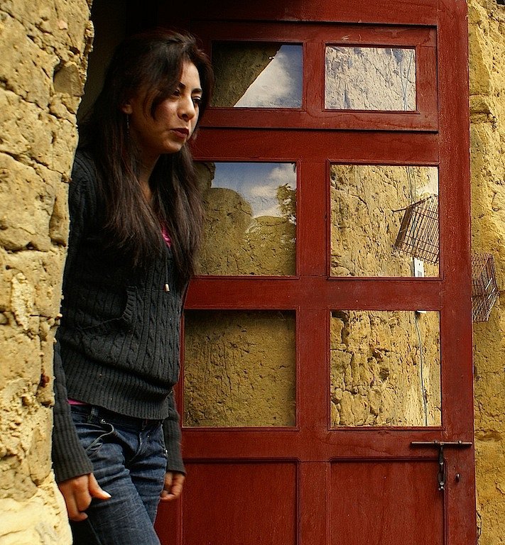 ventana...puerta...luz...jaula.. color
