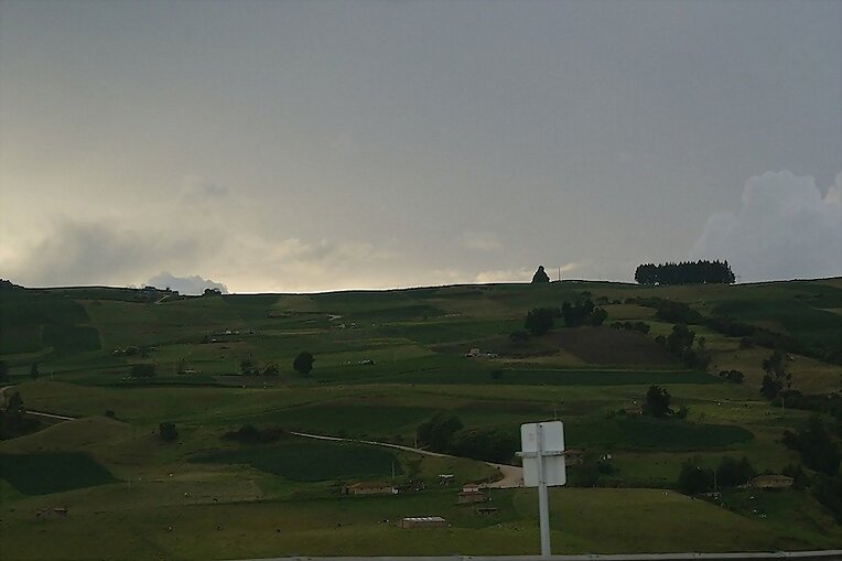 Verde con verde, verde...