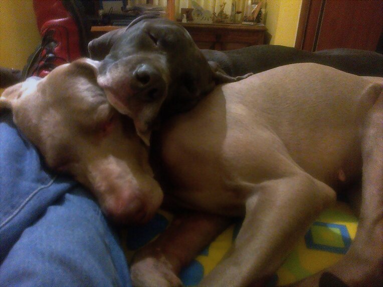 sshh...por favor, dejen dormir...!