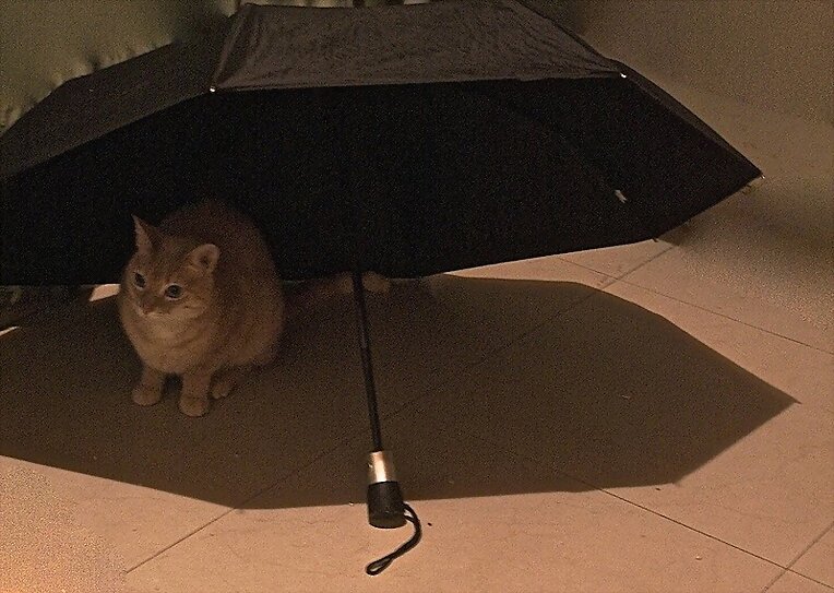 a la guarda de la lluvia y el sol...