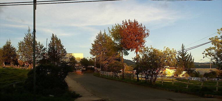 paisajes............