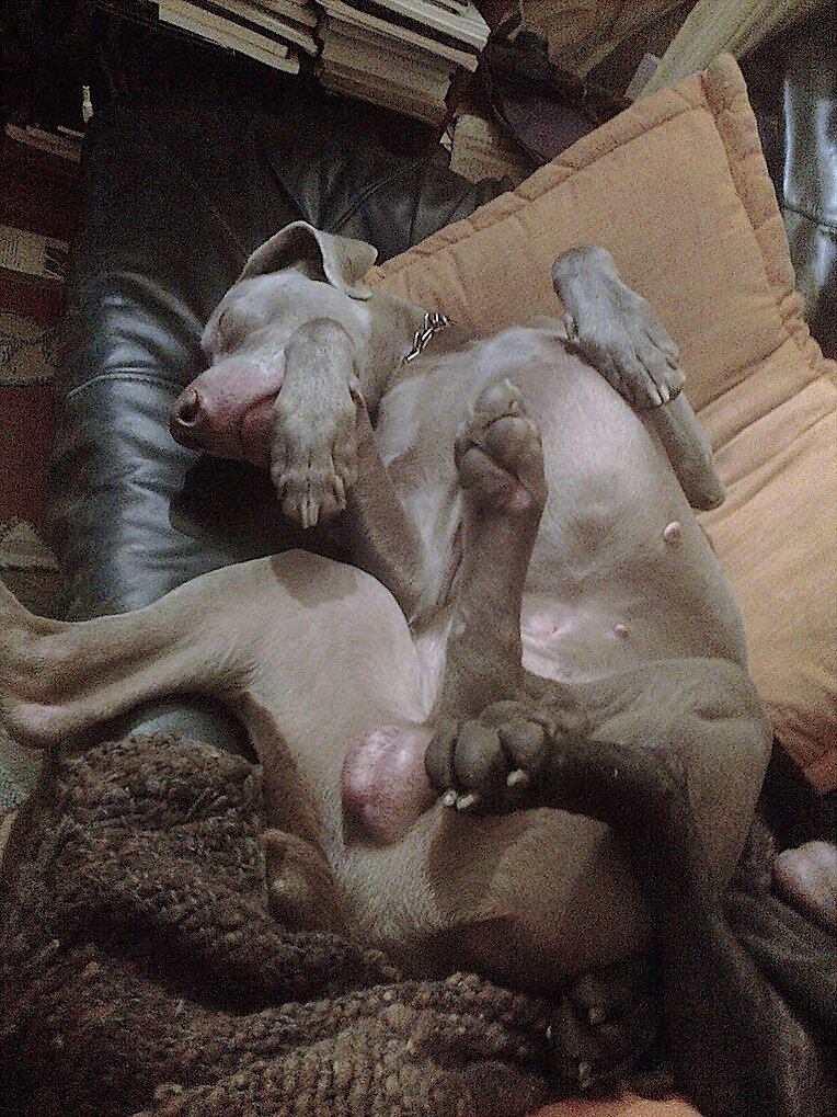 saludodevacaciones!!!