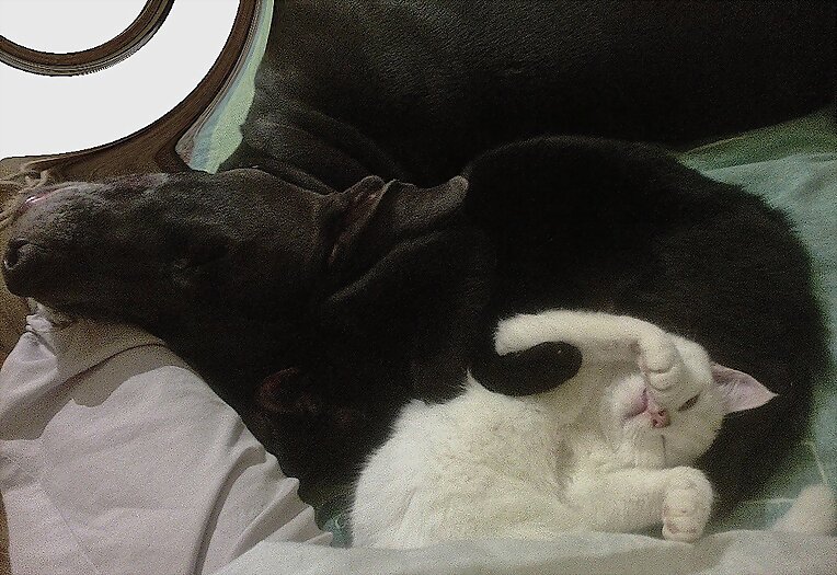 zzzzzzzzzzzzsssshhh!!!