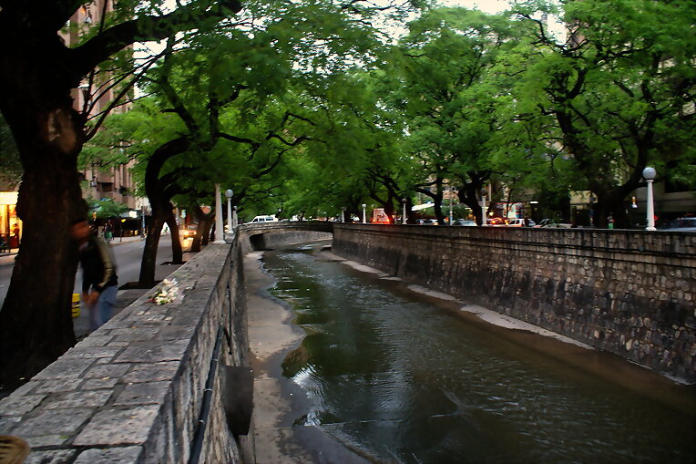 agua sobre verde bajo la luna...