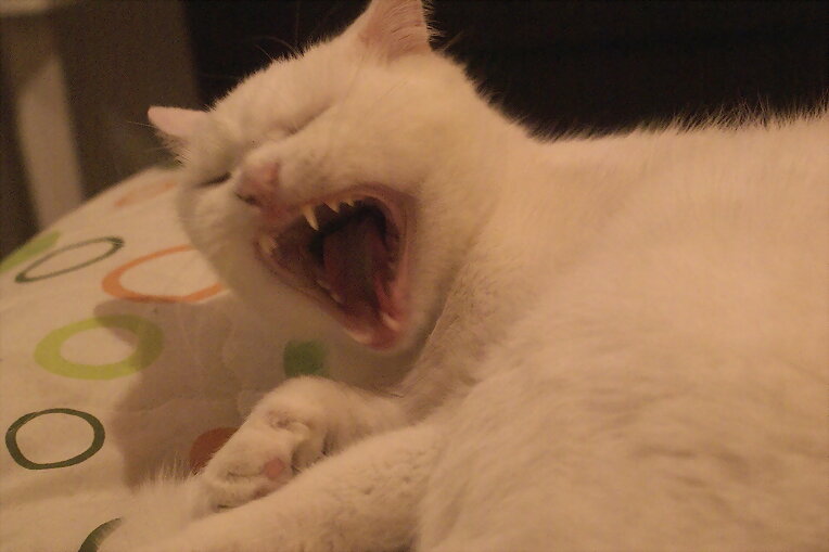 lalalaralalaaaah