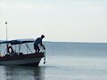 ...Llega la pesca