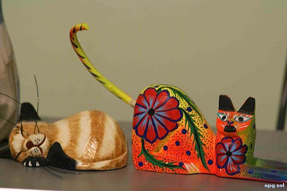 "estos no son gatos"