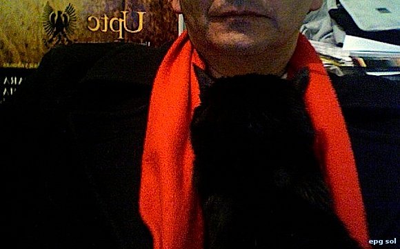 "esto tampoco es un gato"