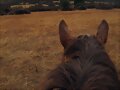Cabalgado por la cordillera andina