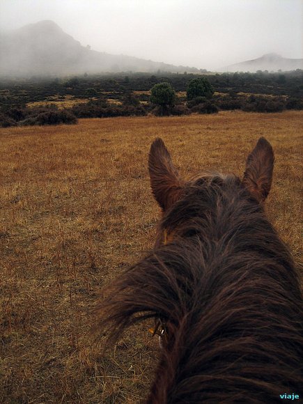 Cabalgado por la cordillera andina