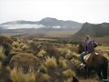 paisaje al trote