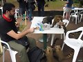 se comieron nuestra comida