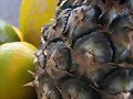 FRUTAS