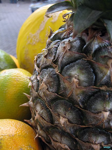 FRUTAS