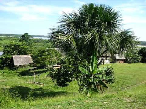 EL PARAISO