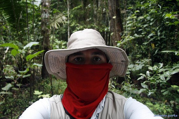 cruzando la selva