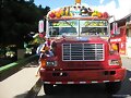 school bus