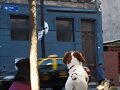 perritos argentinos