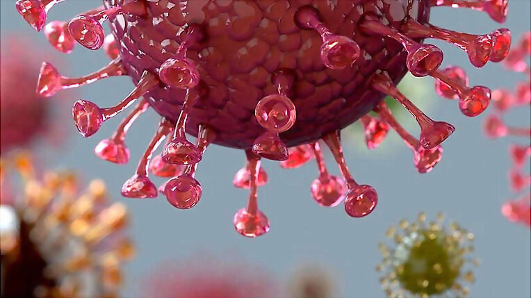Un anticuerpo aspirable contra coronavirus