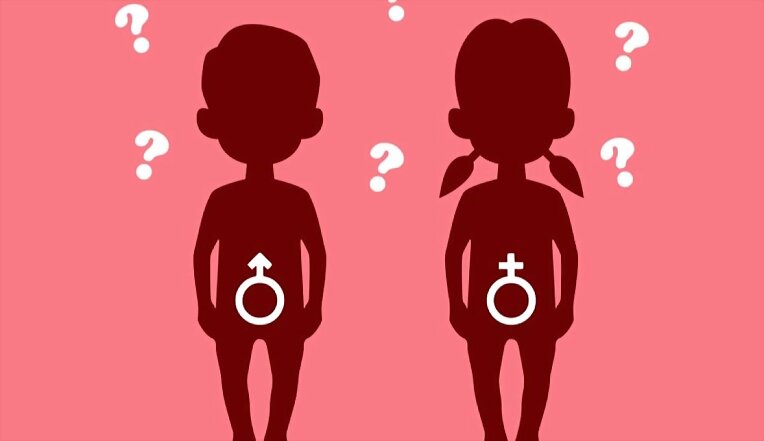 Educación sexual