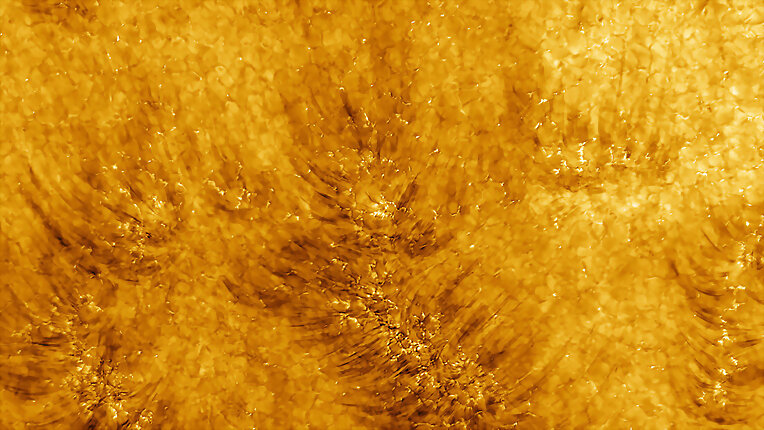 Sol en detalle