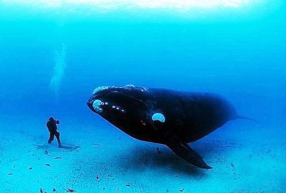 foto de Bryan Skerey