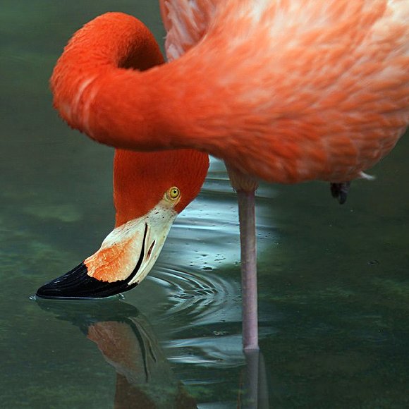 LA NATURALEZA SIEMPRE NOS SUPERA.....