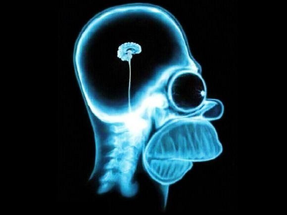 nuestro intelecto ...¡¡somos asi¡¡