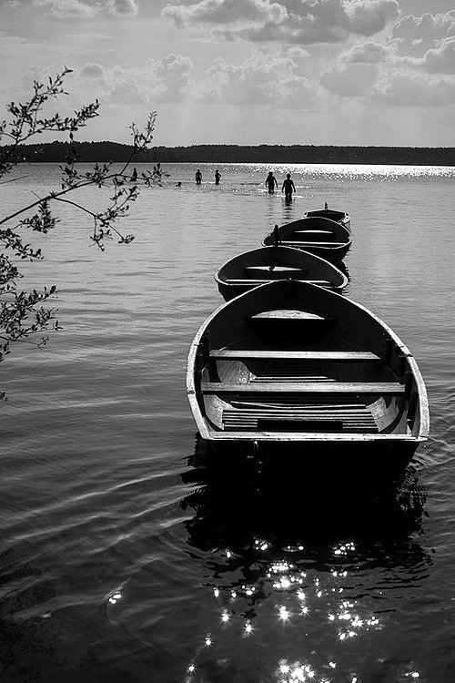 reflejos de vida